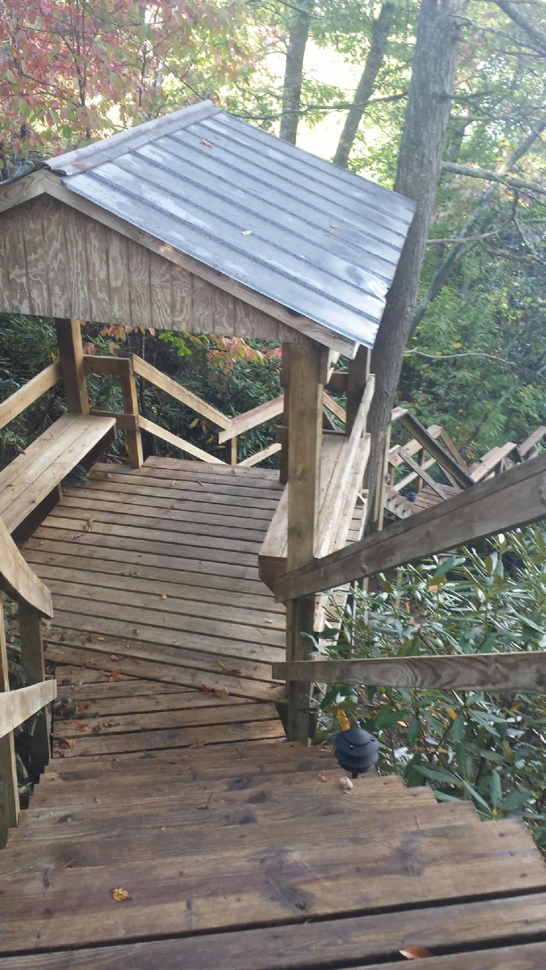 Metal roofed shelter over wooden steps on a wooded walkway in Baldwin Place